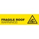 Fragile Roof Warning Signs