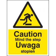 Caution - Mind the Step (English / Polish)