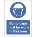 Bump Caps must be Worn in this Area
