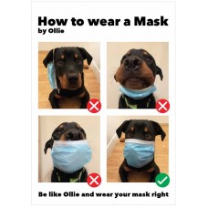 How to Wear a Mask by Ollie